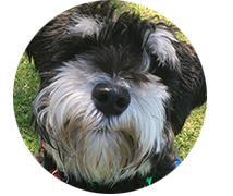 Supporting the Community